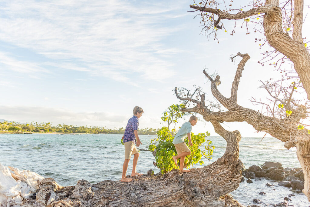 kids playing on the beach at golden hour climbing a tree